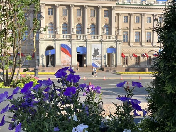 Великокняжеский Петербург: дворцы и судьбы - фото 3