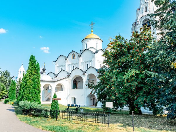 Владимиро-Суздальская Русь (из Москвы) - фото 4