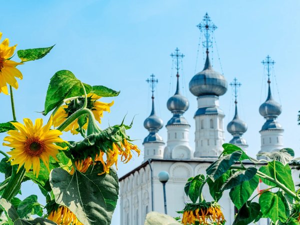 Владимиро-Суздальская Русь (из Москвы) - фото 3