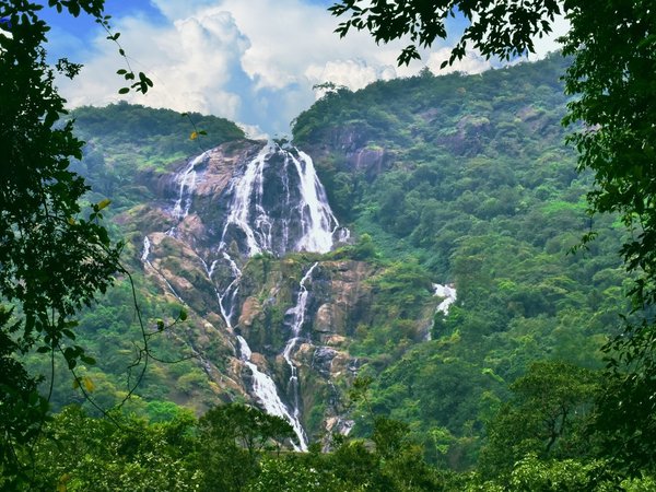 Чарующая Индия: Дели, Агра, Джайпур и Гоа - фото 3