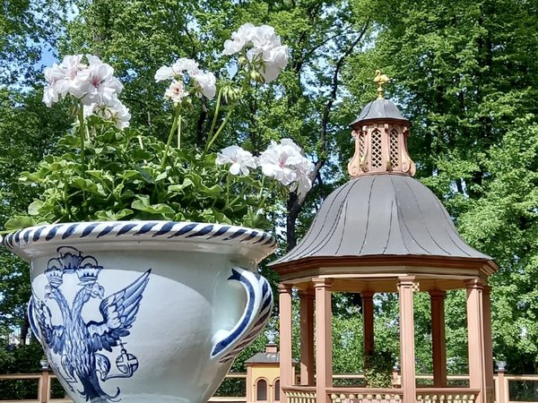 Из Петербурга — в блистательный Петергоф - фото 4