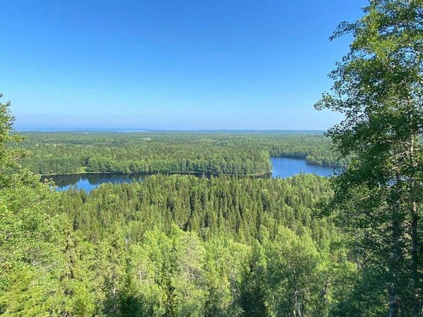 Из Петрозаводска в Соловки на один день - фото 4