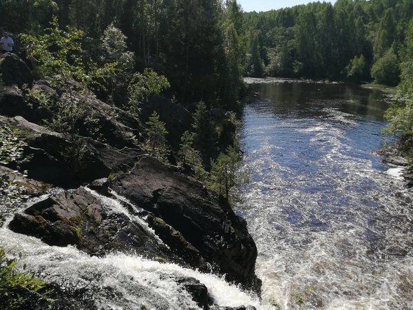 Медвежьегорск, финские укрепления и природа Карелии - фото 4
