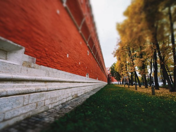 Донской и Новодевичий: монастыри-защитники - фото 3