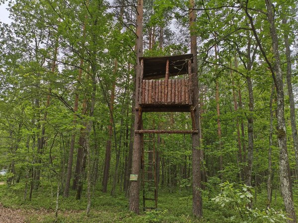 Экспедиция в партизанский лагерь — из Бреста в урочище Карасино - фото 4