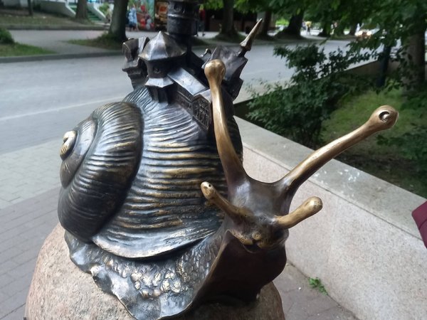 В объятиях Светлогорска, или Терапия созерцанием - фото 2