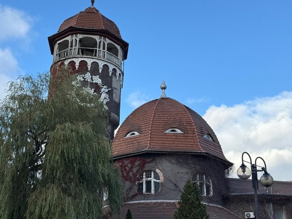 В объятиях Светлогорска, или Терапия созерцанием - фото 3