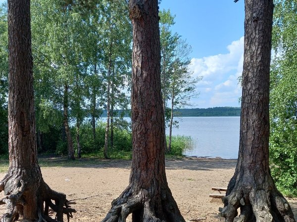 Там Репин был, там вдохновеньем дышишь: автомобильная экскурсия в Репино - фото 4