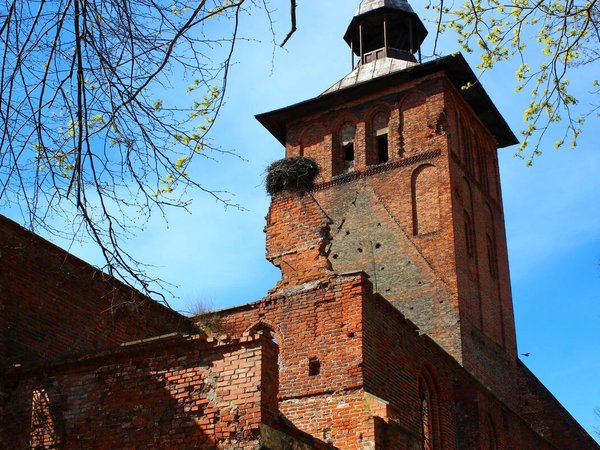 Сплав на байдарках: тайны пруссов и замка Вальдау - фото 4
