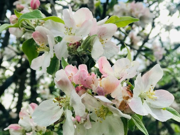 Женщины Воронежа: истории, которые удивляют - фото 4