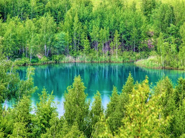 Кондуки: автобусная экскурсия из Москвы в Тульскую область - фото 3