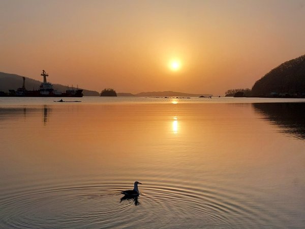 На моторной лодке — вдоль побережья острова Русский - фото 2