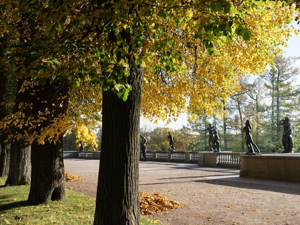 Серебряный век в Царском Селе