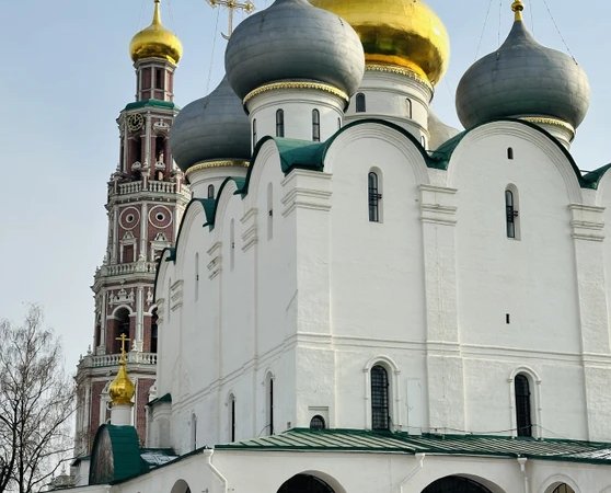 Царственные насельницы Новодевичьего монастыря