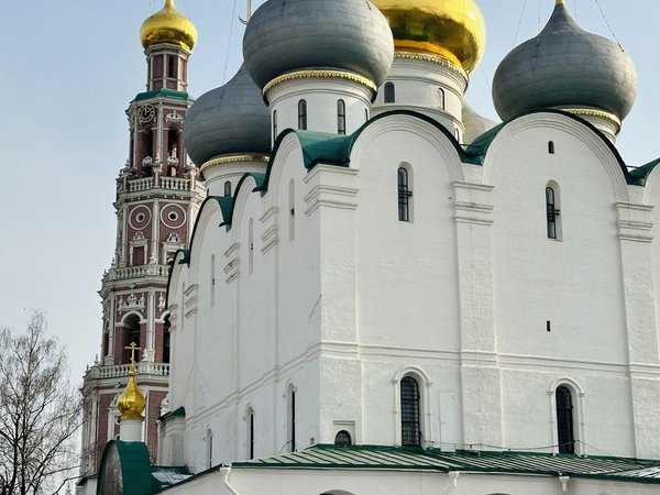 Царственные насельницы Новодевичьего монастыря - фото 1