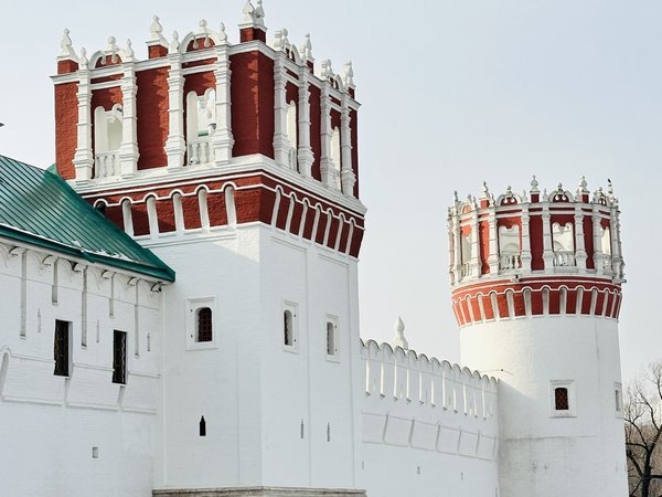 Царственные насельницы Новодевичьего монастыря - фото 2