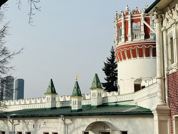Царственные насельницы Новодевичьего монастыря - фото 4