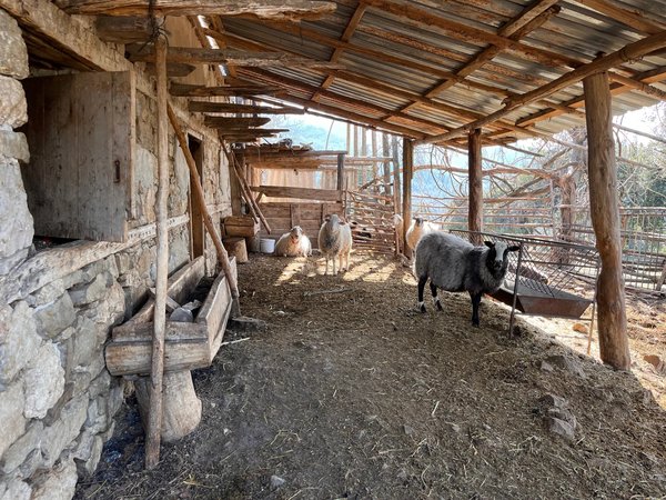 В гости к турецкой бабушке Саиме - фото 3