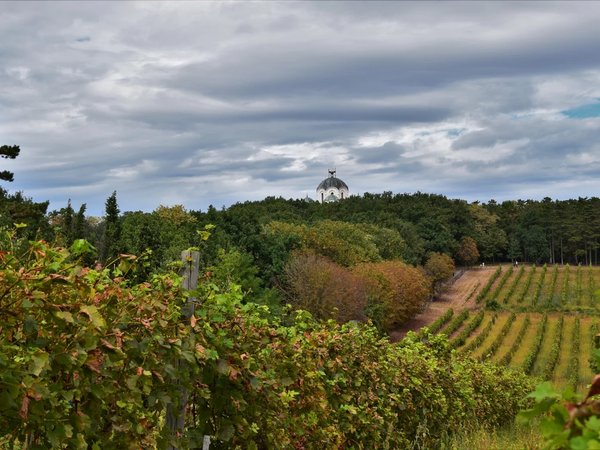 Королевская Сербия: Опленац, мозаика и вино - фото 2