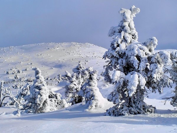 Хибины на снегоступах: шагнуть в зимнюю сказку - фото 3