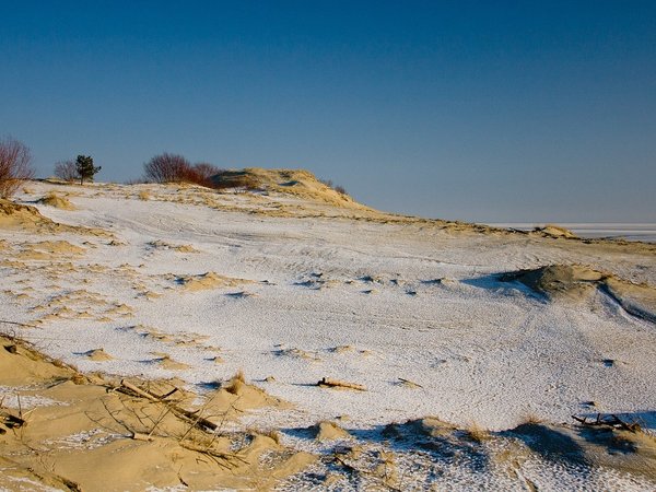 Великолепная Куршская коса и курорт Кранц за один день - фото 4