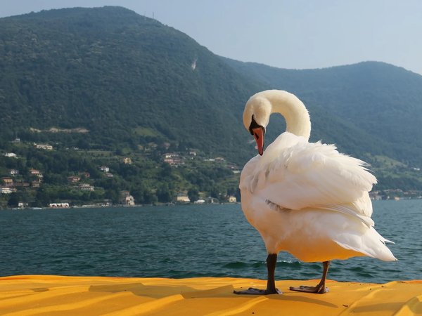 Озеро Изео, Монте Изола и вина Франчакорты - фото 2