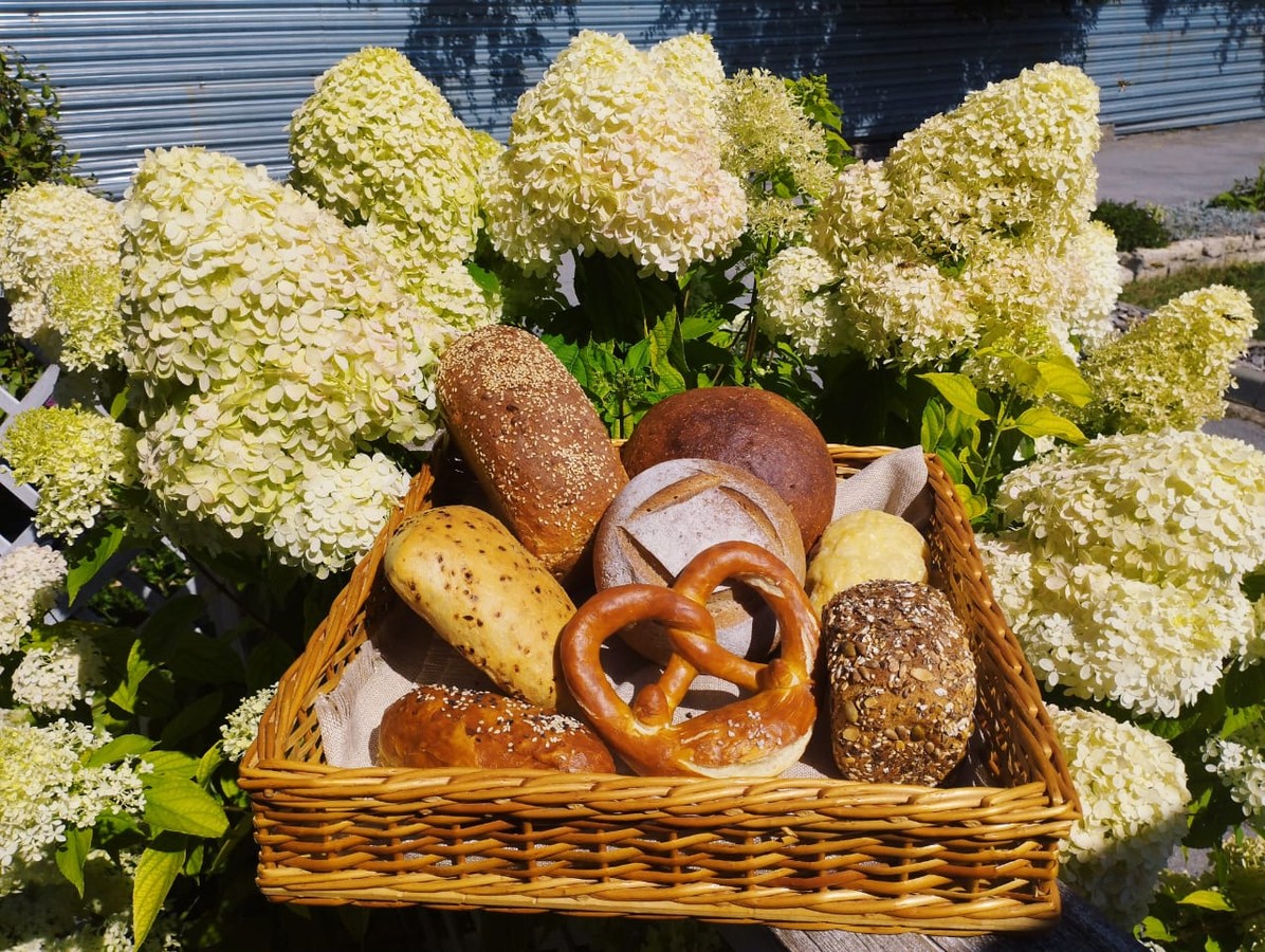 Гастротур по Липецкому краю: кружева, история и вкусы русской провинции