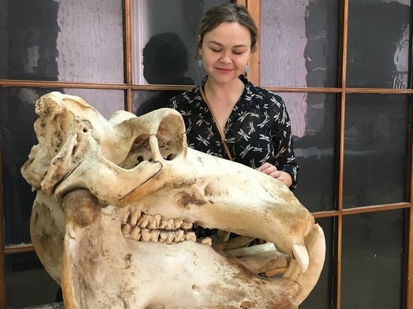 Умная Казань: знакомство с научной школой Казанского университета - фото 2