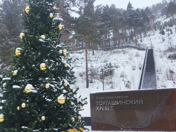 Насыщенный день в Красноярске и Дивногорье - фото 2