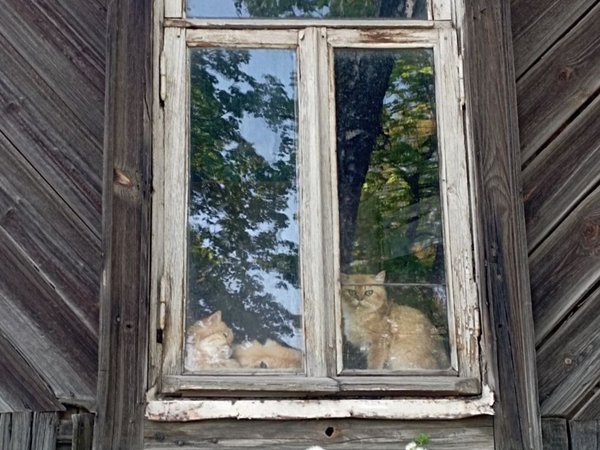 Прогулка по Сергиеву Посаду с местной любительницей истории - фото 2
