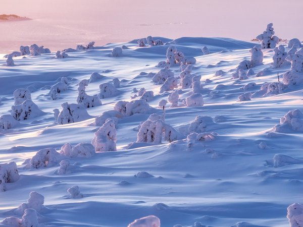 Фотоэкспедиция в Кандалакше «Сказка Южного Заполярья» - фото 4