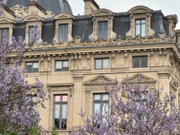 Париж с первого взгляда: инструкция по... очарованию! - фото 2