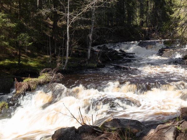 В карельский экопарк «Долина водопадов» — из Петербурга - фото 1