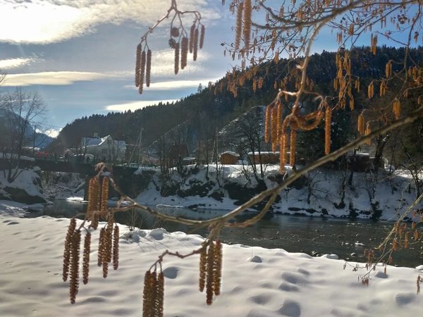 Из Краснодара — в заповедную Адыгею - фото 4