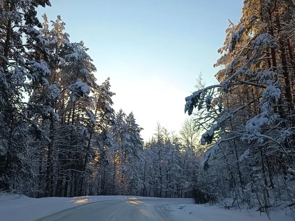 Рубчойла — тайник карельского зодчества (на вашем авто)