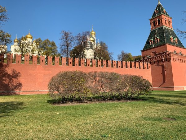 Где жил слон царя: московские координаты Ивана Грозного - фото 2