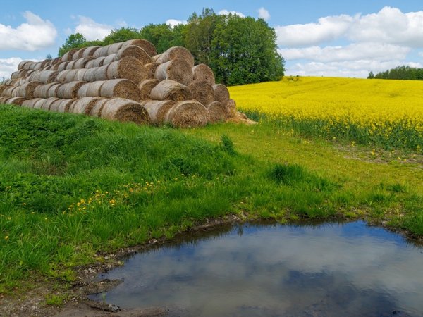 Велопрогулка вдоль границы с Польшей и экскурсия по Черняховску - фото 2