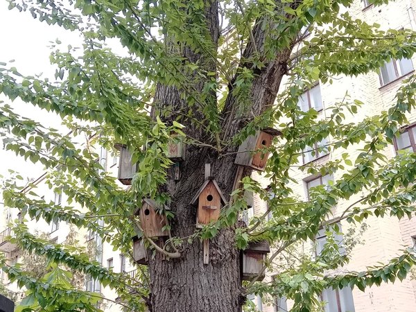 В гости к Фёдору Конюхову на остров Балчуг - фото 2