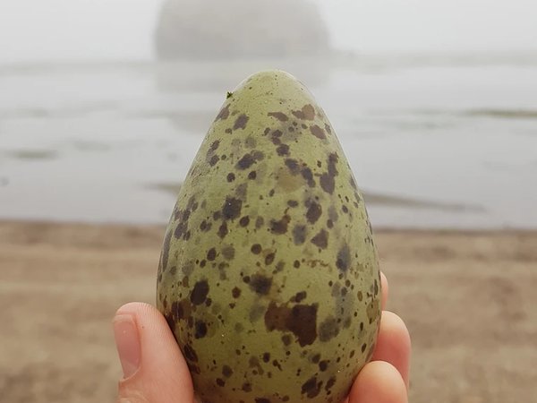 Другая сторона хребта Жданко: бухты, скалы, водопады - фото 3