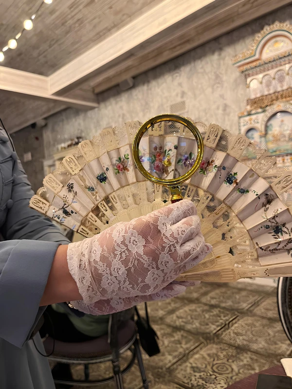 Истории старого саквояжа