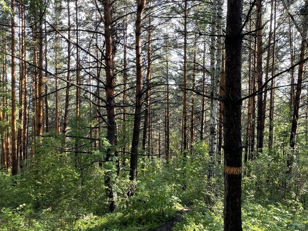 Треккинг на Есауловскую петлю и прогулка по Сибирской Венеции - фото 4