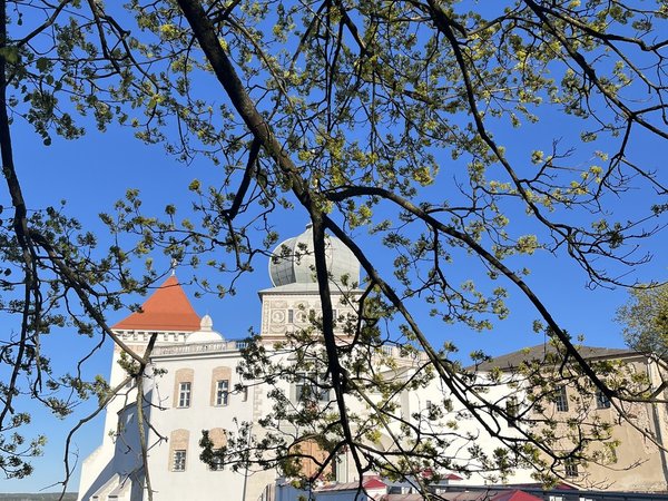 От трубача до ботанического сада — по Гродно с историком-археологом - фото 2