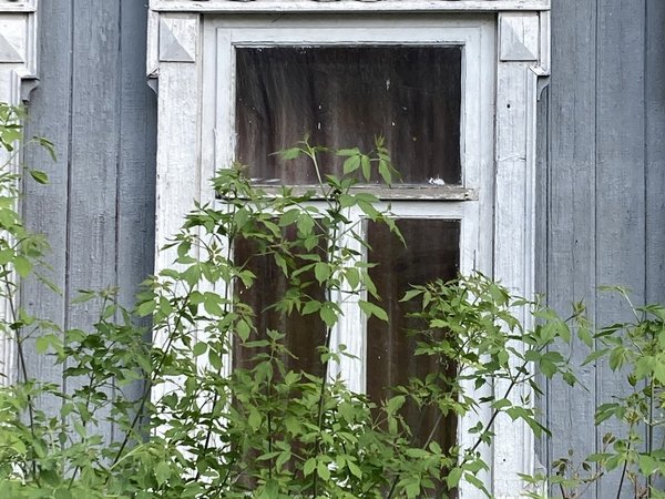 Женщины Уфы:  от корсетов до революций - фото 3