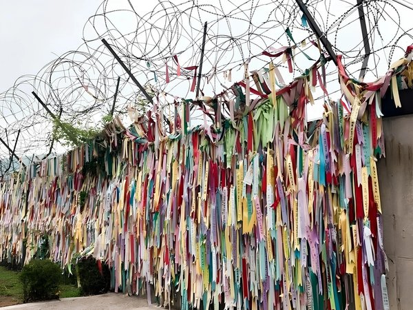 Из Сеула — в DMZ с посещением горного подвесного моста - фото 4