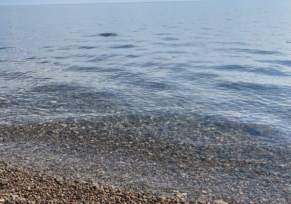 Великолепная Листвянка + исторические Тальцы - фото 3