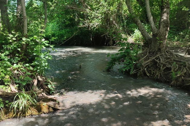 Фото экскурсии - Погружение в природу Дагестана: Самурский Лес и экраноплан Лунь - 6