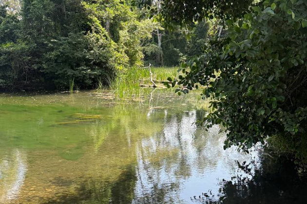 Фото экскурсии - Погружение в природу Дагестана: Самурский Лес и экраноплан Лунь - 5