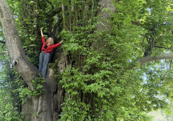 Самурский лес - настоящие джунгли Дагестана