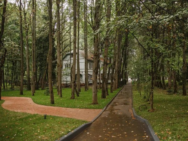 «Шерше ля фам» — ищите женщину в Переделкино (из Москвы)