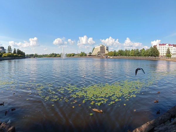 Выборг — путешествие во времени. Групповая экскурсия - фото 2
